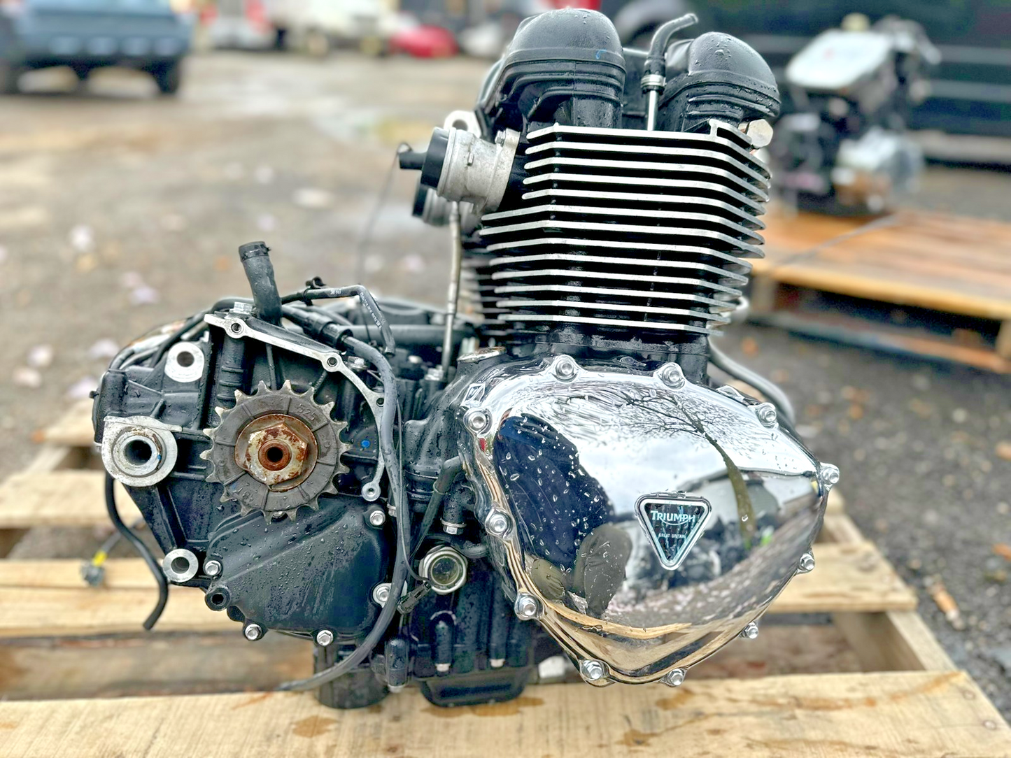 2014 Triumph America Engine Motor OEM 5,083 Miles