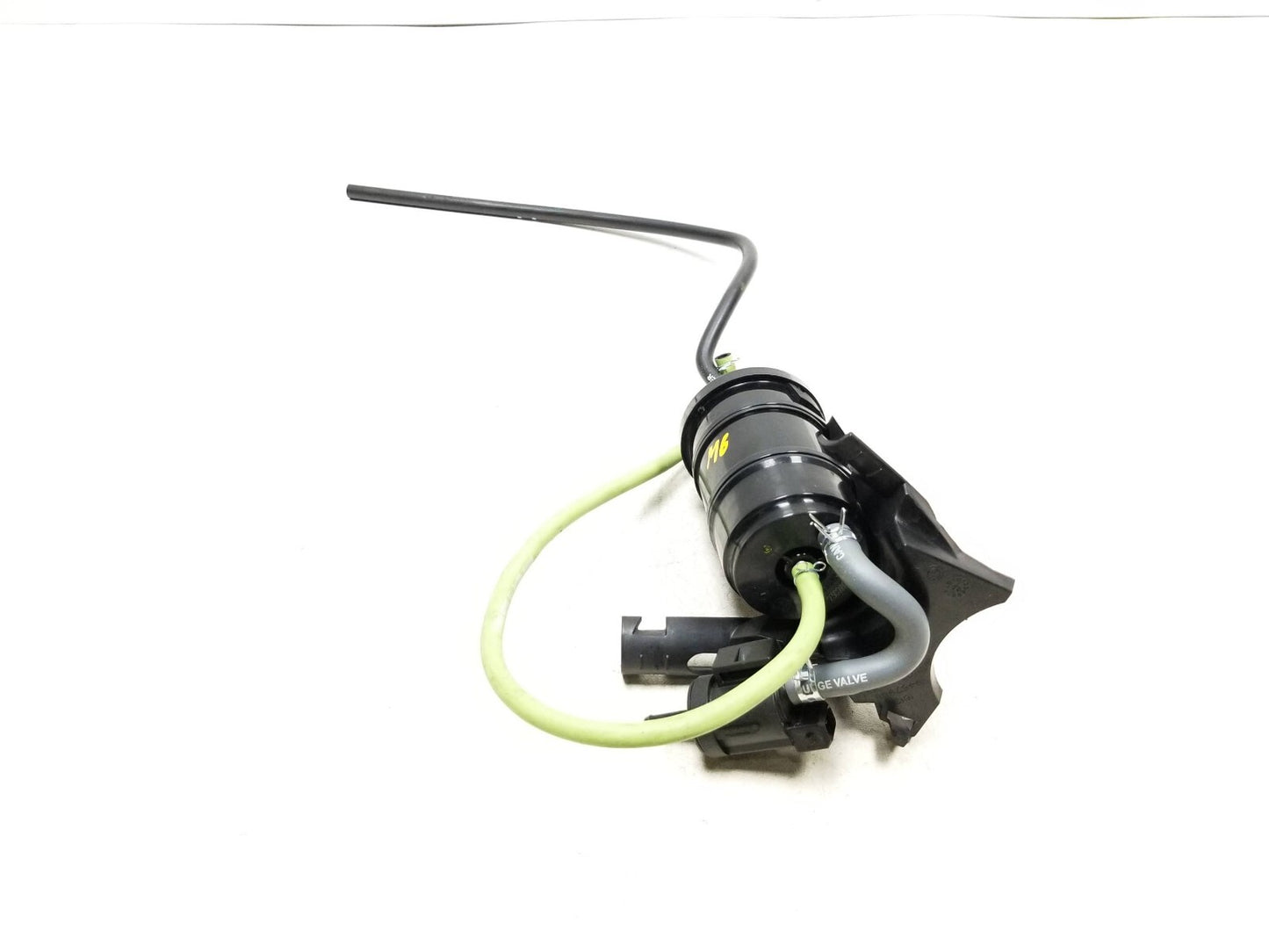 2017 - 2024 BMW G310r G310gs Evap Vapor Charcoal Canister OEM