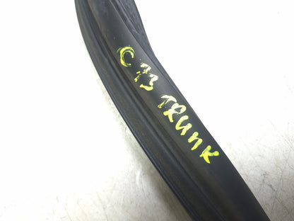 2019 Tesla Model 3 Rear Trunk Lid Weatherstrip Seal OEM
