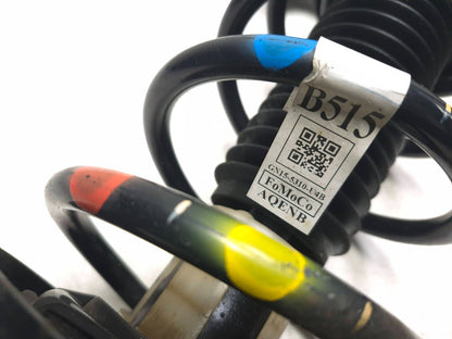 2019 Ford Ecosport Front Shock Strut Absorber With Spring Pair OEM