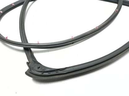 2011 Nissan Juke Door Weatherstrip Rear Driver Side Left OEM