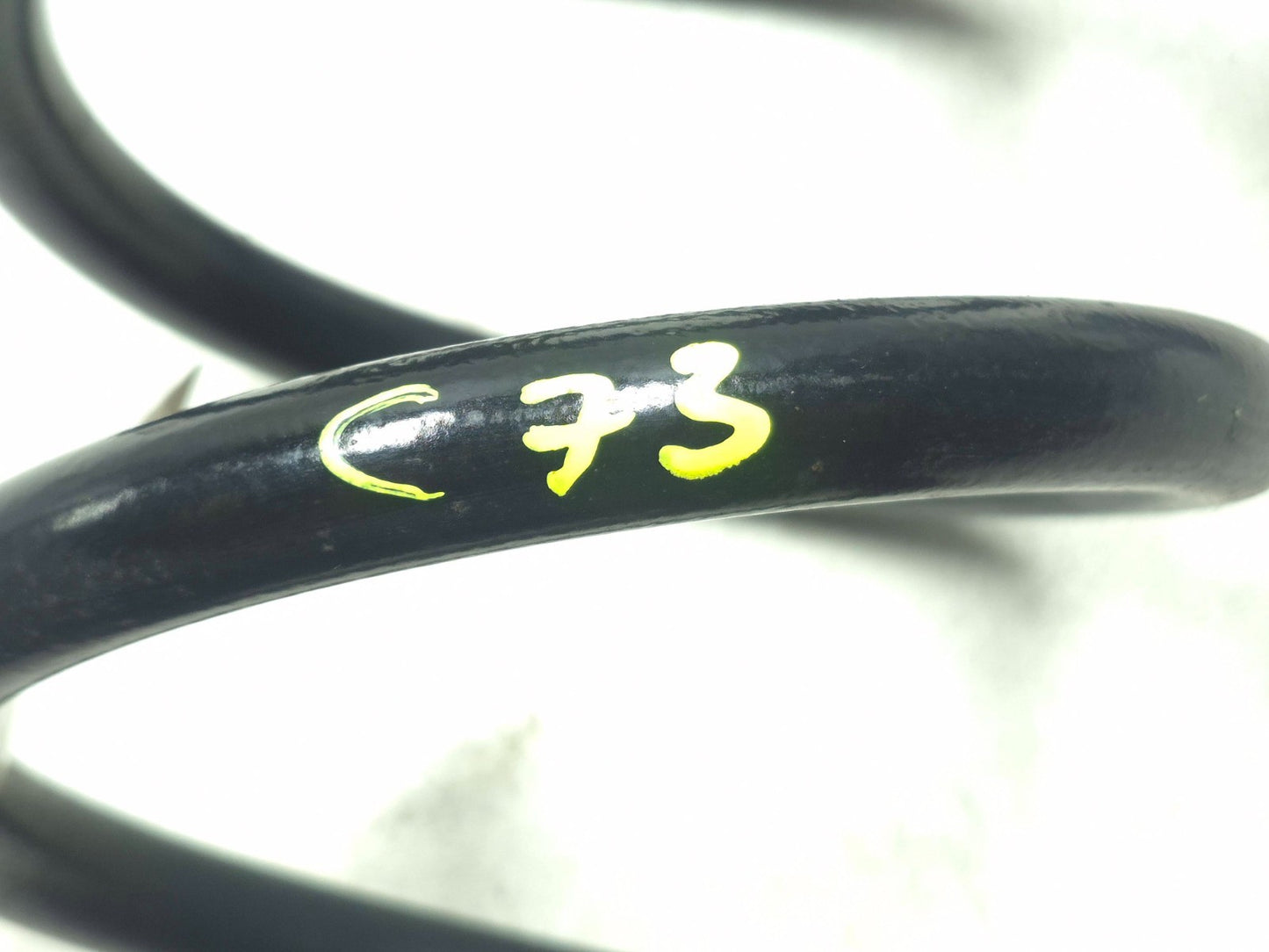 2019 Tesla Model 3 Rear Coil Spring Pair OEM