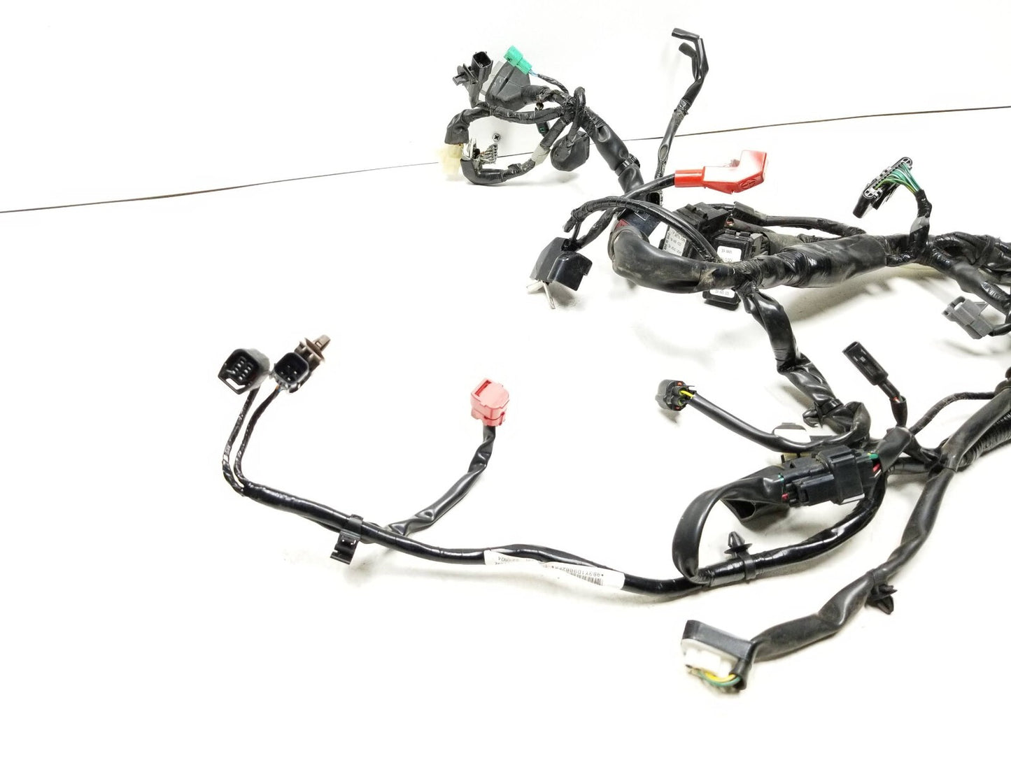 19 - 23 Honda Cbf300 Na Main Engine Wire Harness OEM