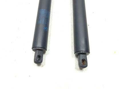 2007 - 2013 BMW X5 E70 Tailgate Trunk Lift Shock Left & Right OEM