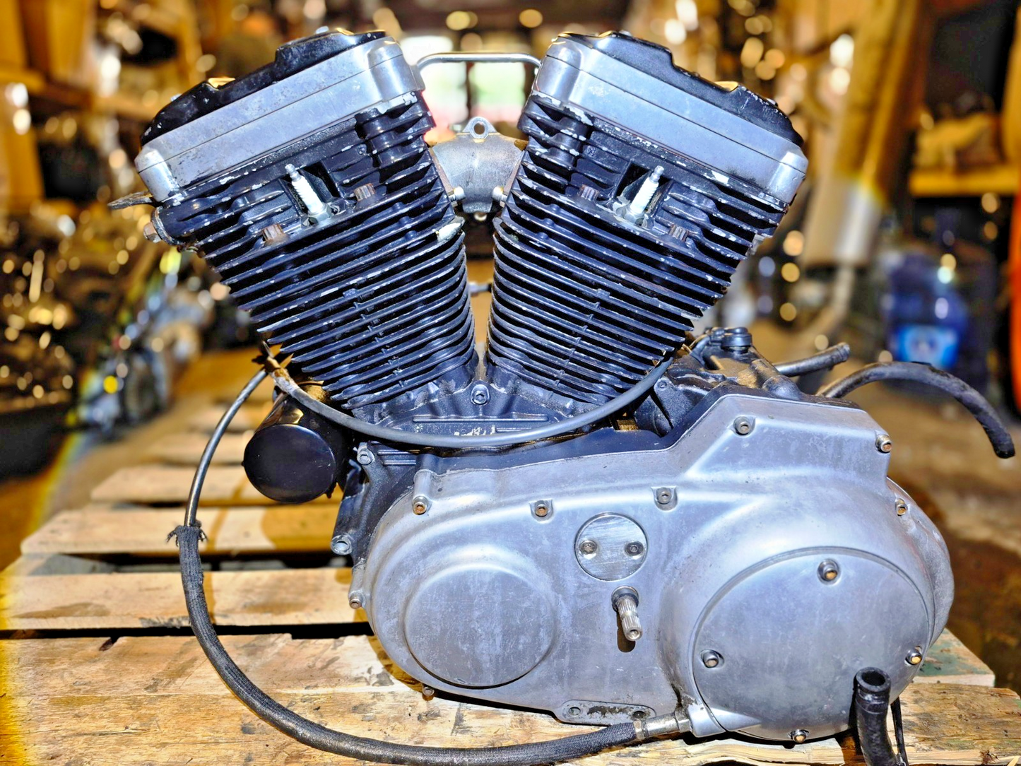 1991-2003 Harley Sportster Xl1200c Engine Motor 5-speed Chain Drive Conversion