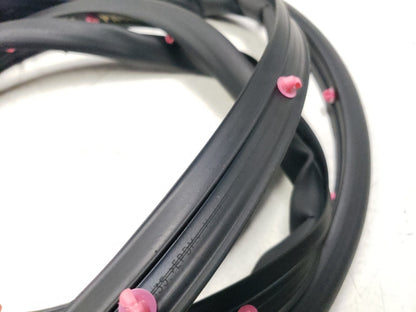 2022 Chevrolet Trailblazer Rear Door Weatherstrip Seal Passenger Side 2pcs OEM