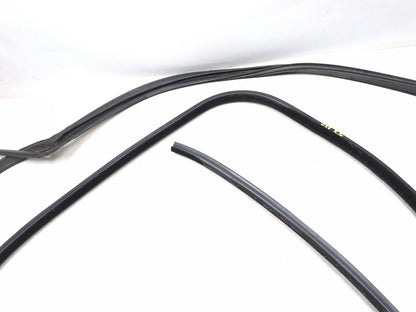 2018 Chrysler 300 Front Door Weatherstrip Seal Driver Side Left 2pcs OEM