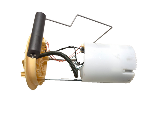 2019 Ford Ecosport Fuel Pump Assembly OEM