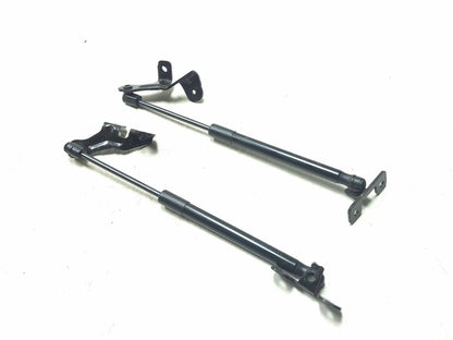2019 Tesla Model 3 Hood Shock Strut Left & Right OEM