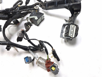 2019 Ford Ecosport Engine Wiring Harness OEM