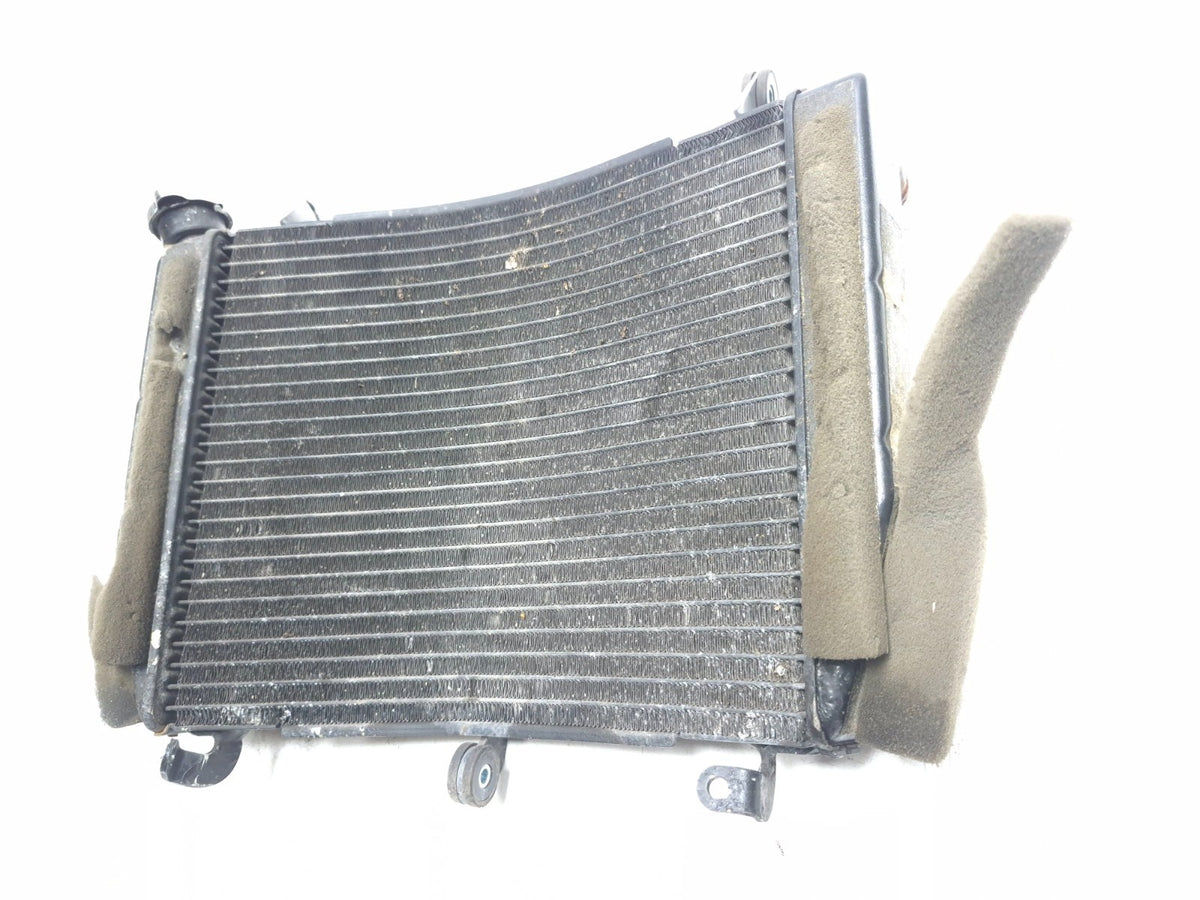 2003 - 2005 Yamaha Yzf R6 Cooling Radiator OEM