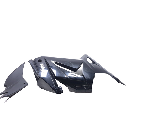 2008 Kawasaki Ninja 250r Ex250j Right Fairing Cowl Cover 2 Pcs OEM