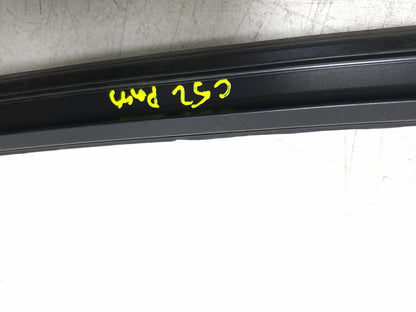 2008 BMW X6 E71 Roof Channel Trim Molding Left & Right OEM