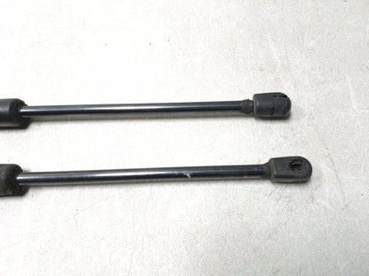2013 Dodge Grand Caravan Liftgate Lift Shock Support Pair Oem✅