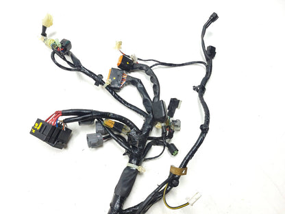 2023 Kawasaki Kle300 Versys-x 300 Main Wire Harness OEM