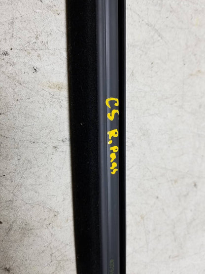 2007-12 Dodge Caliber Door Glass Belt Seal Molding Rear Passenger Side Right OEM