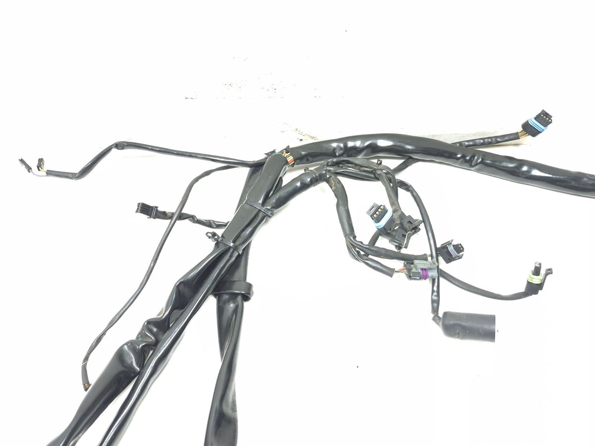 2002 Harley Davidson Touring Road King Main Wire Harness OEM