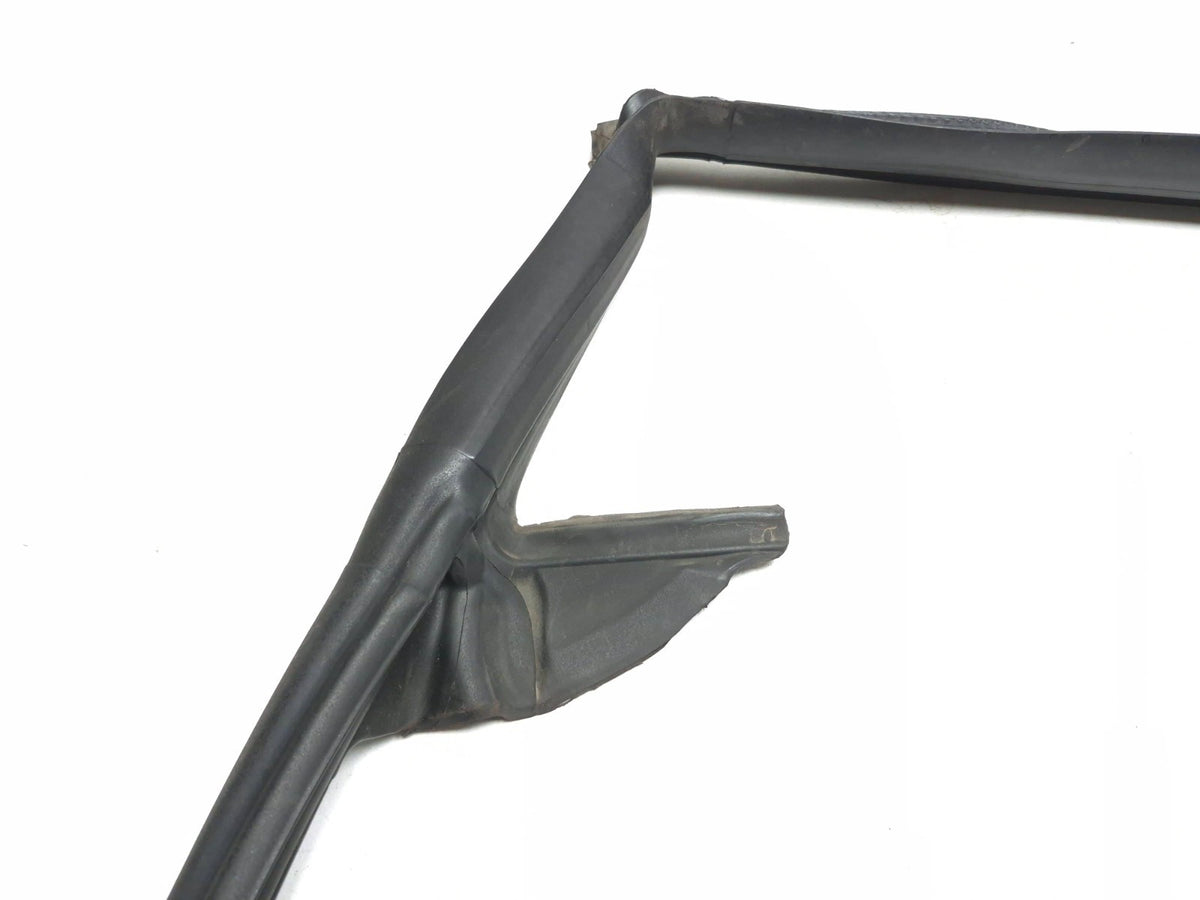 2018 Tesla Model 3 Rear Door Seal & Belt Molding Driver Side Lh 3pcs OEM