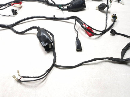 2023 Qianxin Fy200t Main Wire Harness OEM
