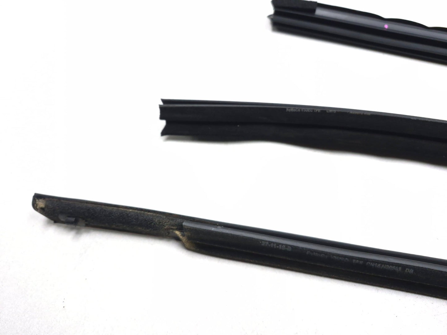 2019 Ford Ecosport Door Weatherstrip Front Driver Side Left OEM