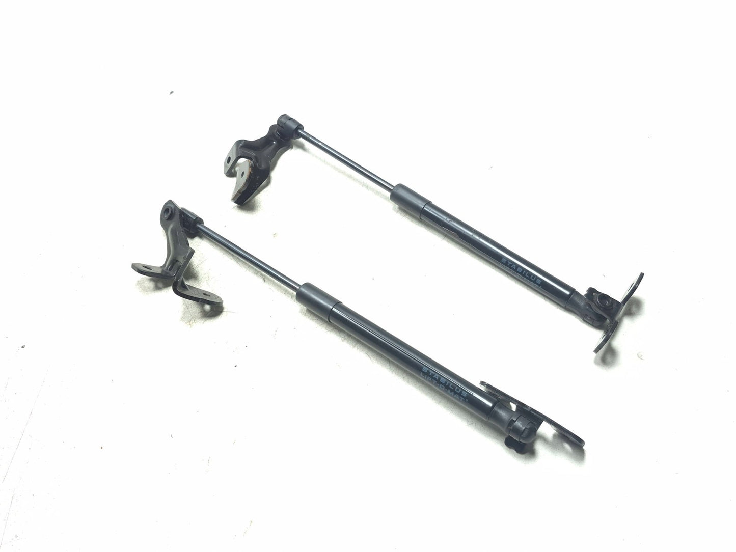 2019 Tesla Model 3 Hood Shock Strut Left & Right OEM