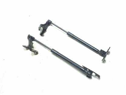 2019 Tesla Model 3 Hood Shock Strut Left & Right OEM
