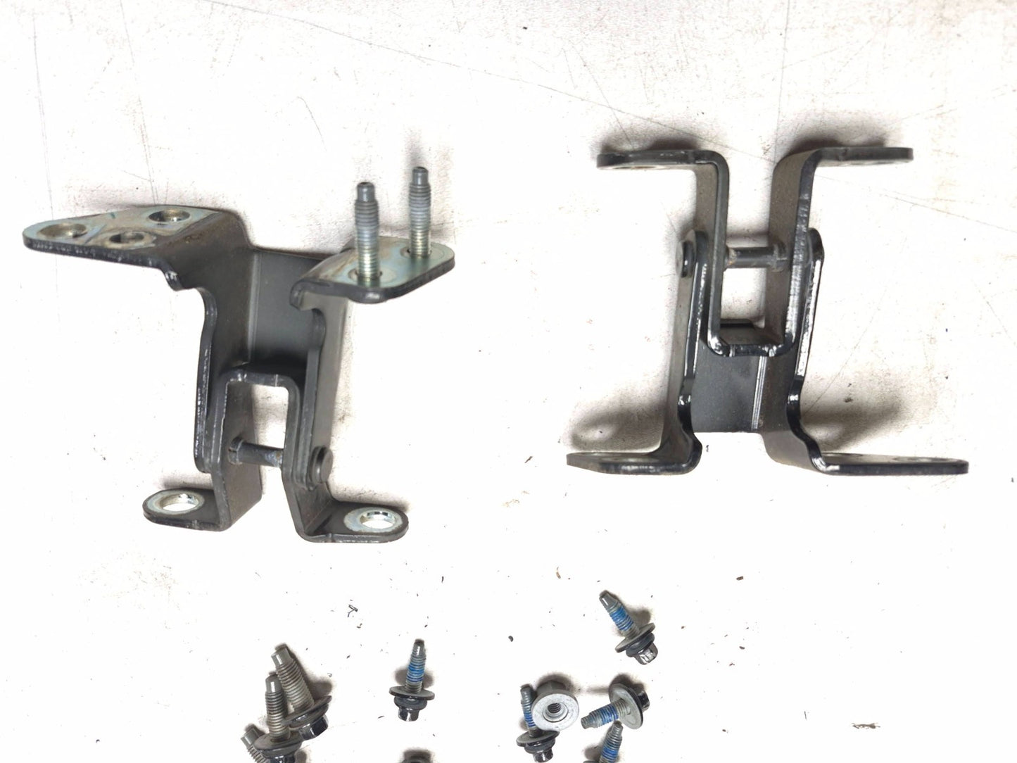 2019 Ford Ecosport Hinge Trunk Pair OEM