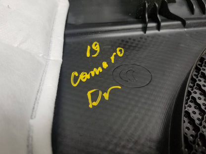 2019 Chevrolet Camaro Front Driver Door Panel OEM