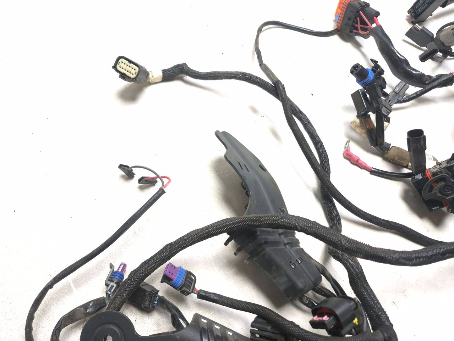 2021 Harley-davidson Sportster Xl1883 ABS Main Wire Wiring Harness OEM