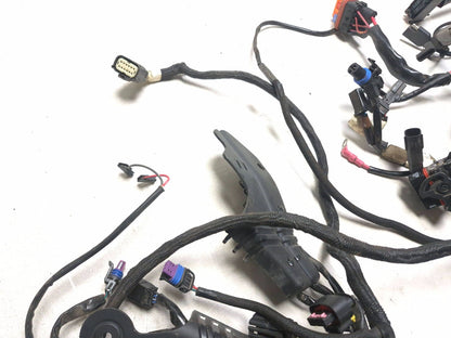 2021 Harley-davidson Sportster Xl1883 ABS Main Wire Wiring Harness OEM
