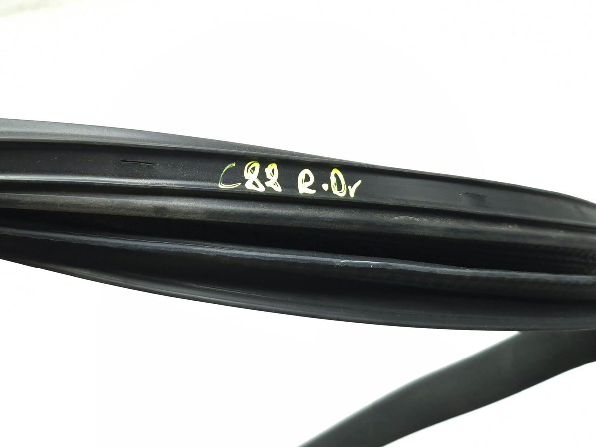 2018 Tesla Model 3 Rear Door Seal & Belt Molding Driver Side Lh 3pcs OEM
