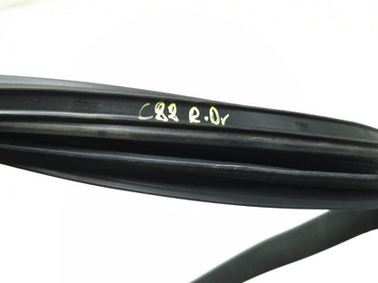 2018 Tesla Model 3 Rear Door Seal & Belt Molding Driver Side Lh 3pcs OEM
