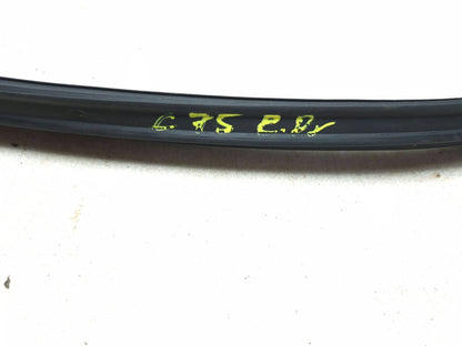 2010 Lexus Hs250h Rear Door Weatherstrip Seal Left Driver Side Set OEM