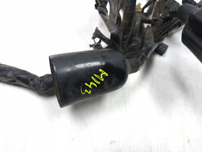 2017 Honda Crf250rl Main Wire Harness  OEM