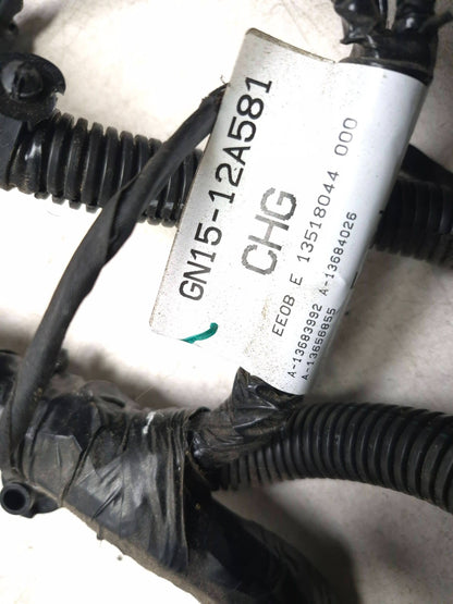 2019 Ford Ecosport Main Wire Harness With Fuse Box OEM