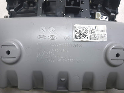 2019 Hyundai Kona Roof Overhead Console Lamp OEM