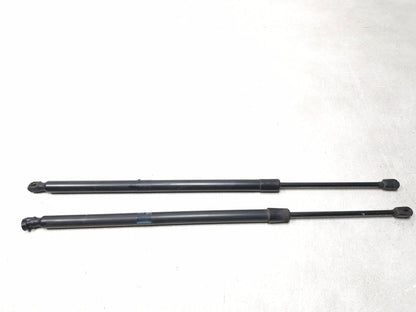 2013 Dodge Grand Caravan Liftgate Lift Shock Support Pair Oem✅