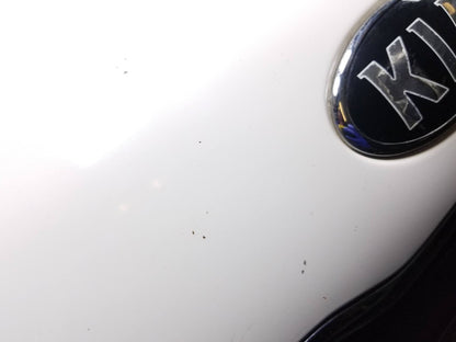 2015 Kia Soul Hood Panel OEM