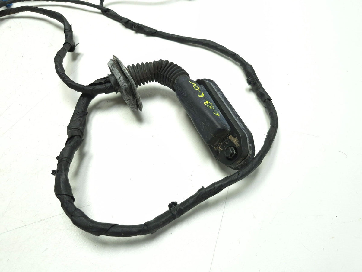 2011 BMW 750li Rear Door Wire Harness Driver Side Left OEM