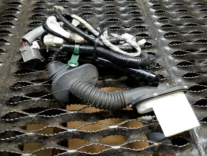 10 11 12 13 14 Acura Tsx Door Wire Harness Front Right Passenger Side OEM