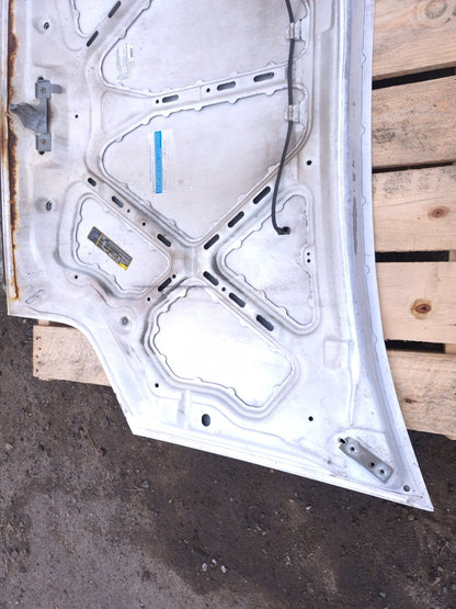 2013 Ford Transit Connect Hood OEM