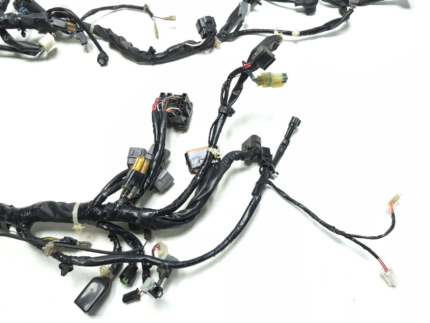 2022-2024 Kawasaki Versys-x 300 Kle300 OEM Main Wire Harness 26031-2642