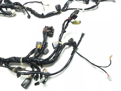 2022-2024 Kawasaki Versys-x 300 Kle300 OEM Main Wire Harness 26031-2642
