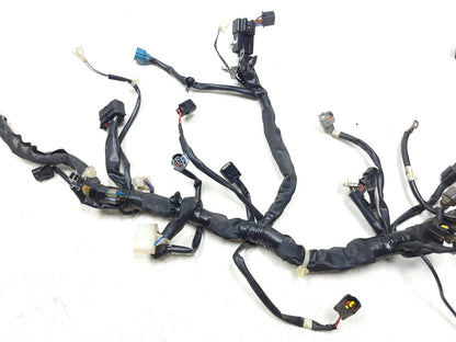 2023 Kawasaki Kle300 Versys-x 300 Main Wire Harness OEM