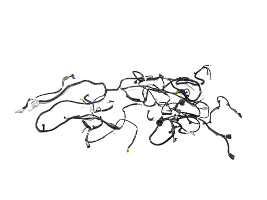 2011 Nissan Juke Rear Body Tail Lamp Wiring Harness OEM