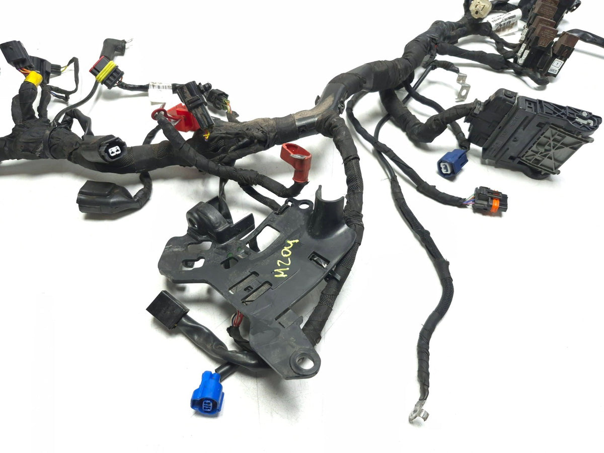 2024 Triumph Speed 400 Main Wire Harness OEM
