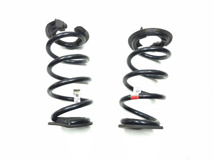 2018 Tesla Model 3 Rear Suspension Coil Spring Left & Right 1044472-91-e OEM