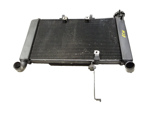 2014 - 2018 Honda Cbr650f Radiator Coolant  OEM