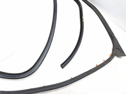 2018 Chrysler 300 Front Door Weatherstrip Seal Driver Side Left 2pcs OEM