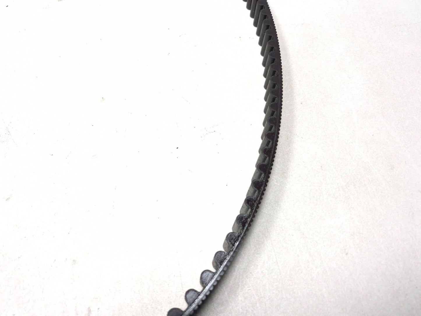 2009 Harley-davidson Sportster Xl883l Drive Belt OEM